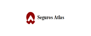 logo11